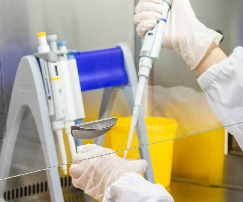 Researcher pipetting samples for a cell assay inside a biosafety cabinet