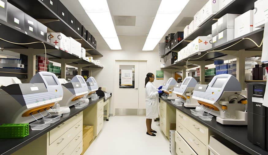Laboratory corridor