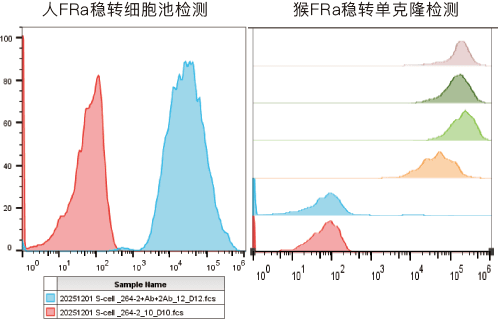 Flow cytometry verification of FRα stable cell lines: human FRa stable pool and cynomolgus FRa stable monoclonal assays