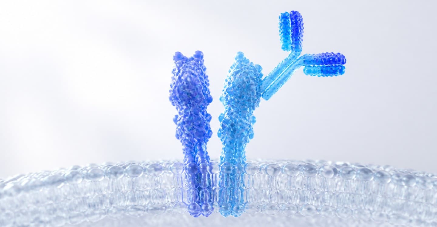 3D rendering of a membrane receptor