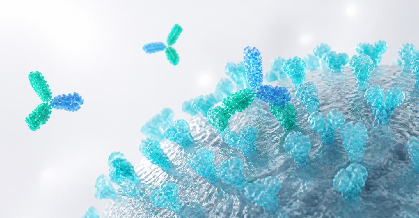 3D rendering of an antibody recognising cell-surface spike proteins