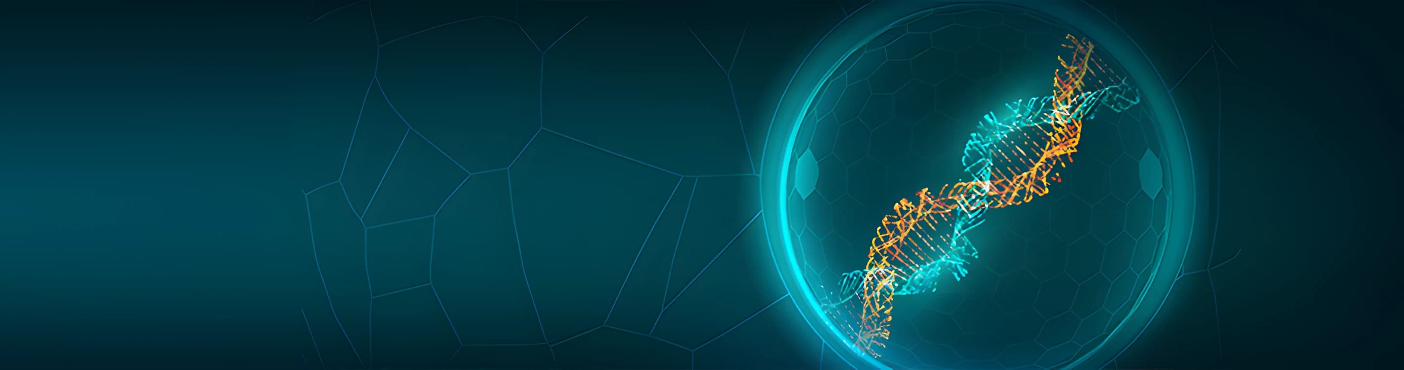 3D DNA double helix on deep teal